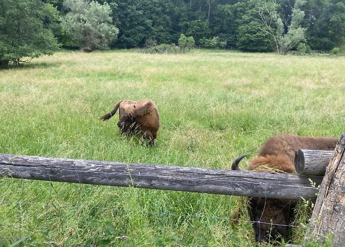 Refugium Am Schlossberg In Der Burgstadt *