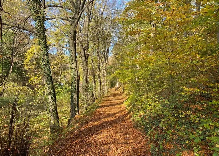 Appartement Refugium Am Schlossberg In Der Burgstadt