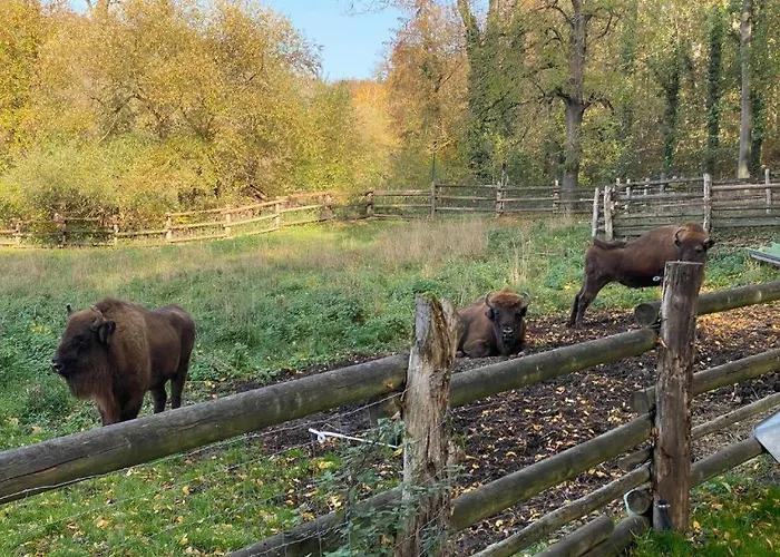 Refugium Am Schlossberg In Der Burgstadt